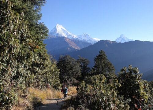 Langtang and Helambu Trekking