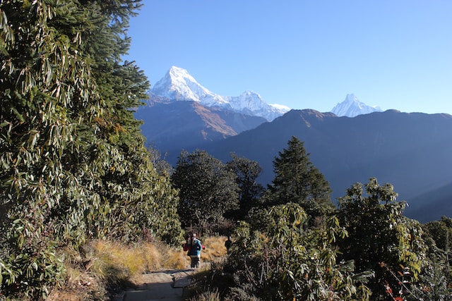 Langtang and Helambu Trekking